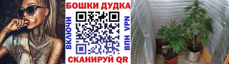 Где купить наркотики Суджа Канабис  Амфетамин  Меф мяу мяу  COCAIN 