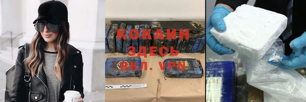 прущие грибы Михайловск