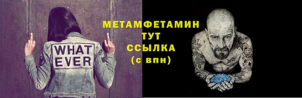 прущие грибы Михайловск