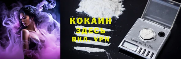 прущие грибы Михайловск