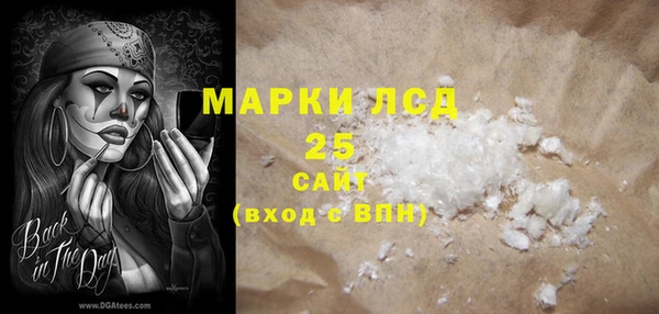 прущие грибы Михайловск