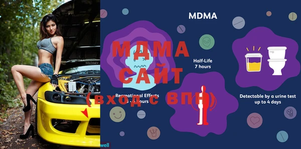 прущие грибы Михайловск