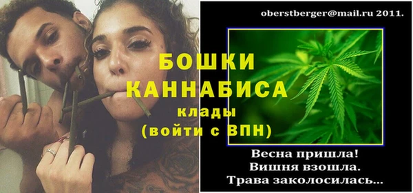 прущие грибы Михайловск