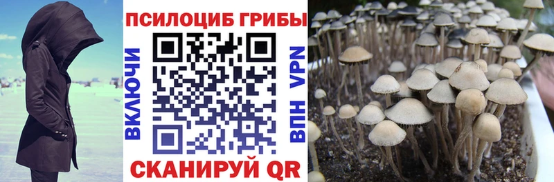 Псилоцибиновые грибы MAGIC MUSHROOMS  гидра зеркало  Суджа 